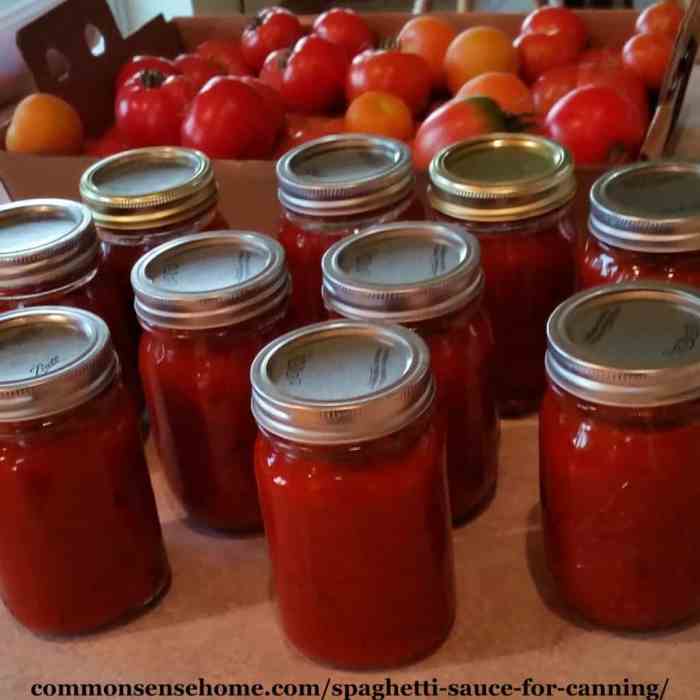 Recipe for spaghetti sauce canning