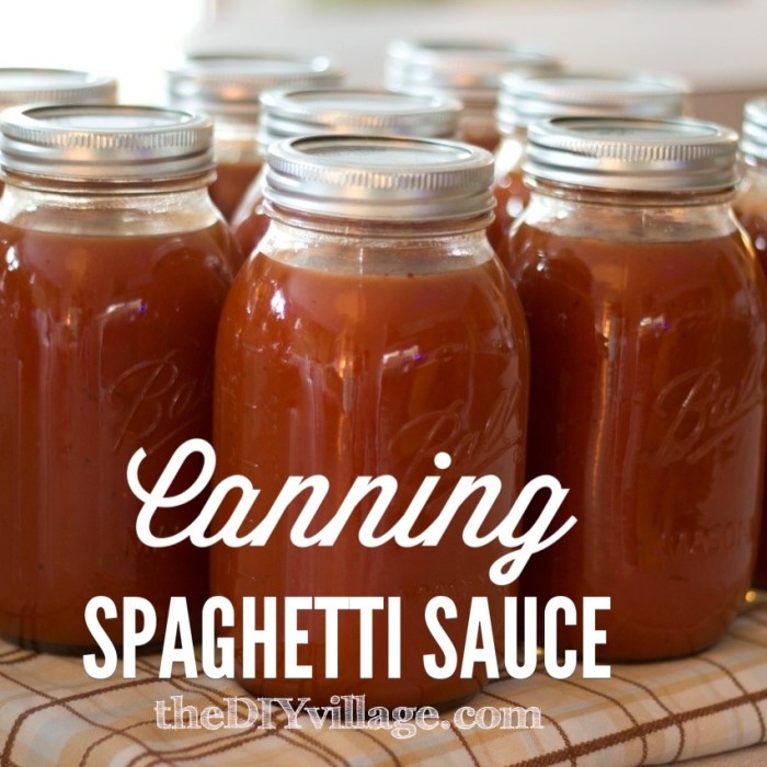 Spaghetti sauce canning recipe ball